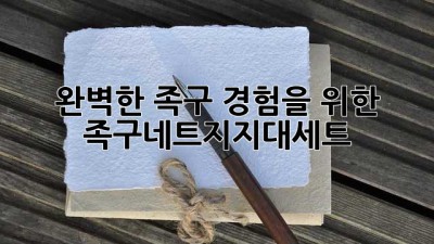 완벽한 족구 경험을 위한 족구네트지지대세트
