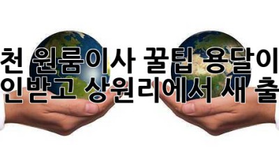 김천 원룸이사 꿀팁🍯: 용달이사 할인받고 상원리에서 새 출발!